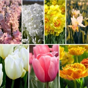 Easter-Mix
